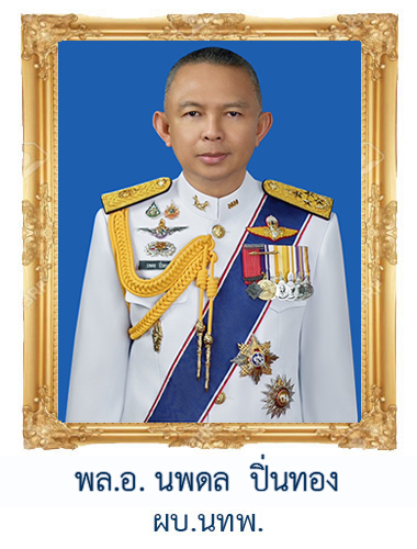 ผบ.นทพ.